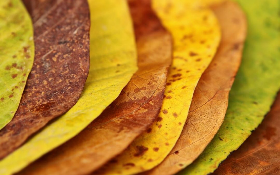 How to Build an Event-Sourced Domain Model – A Practical Introduction